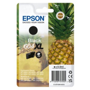 Epson 604 Pack Original