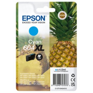 Epson 604 Pack Original